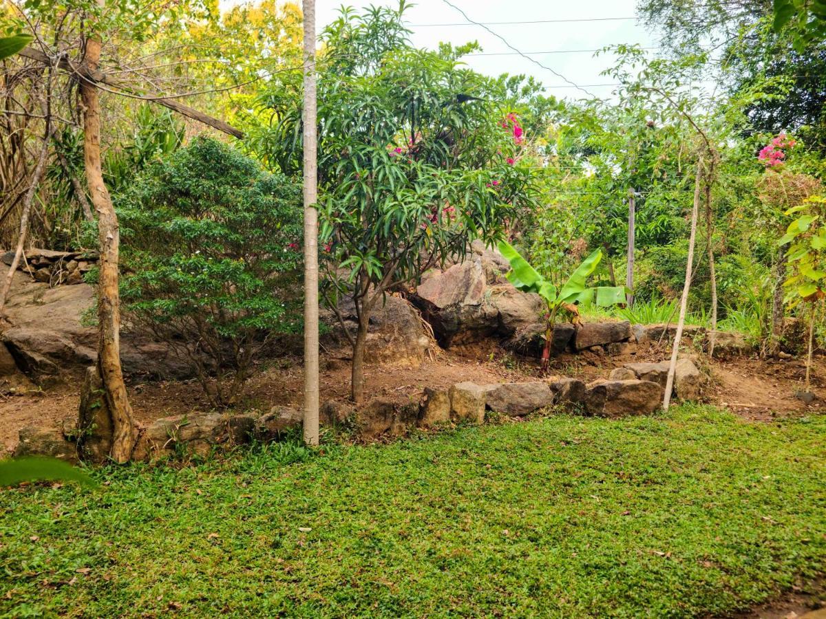 Woodholic Homestay Sigiriya Eksteriør bilde