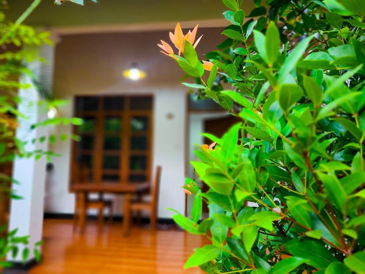 Woodholic Homestay Sigiriya Eksteriør bilde