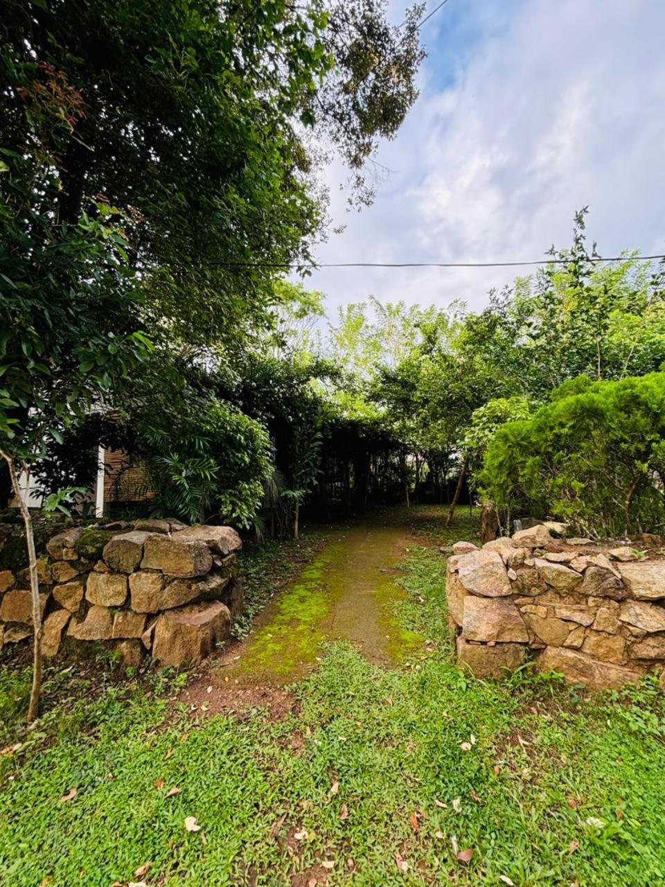 Woodholic Homestay Sigiriya Eksteriør bilde