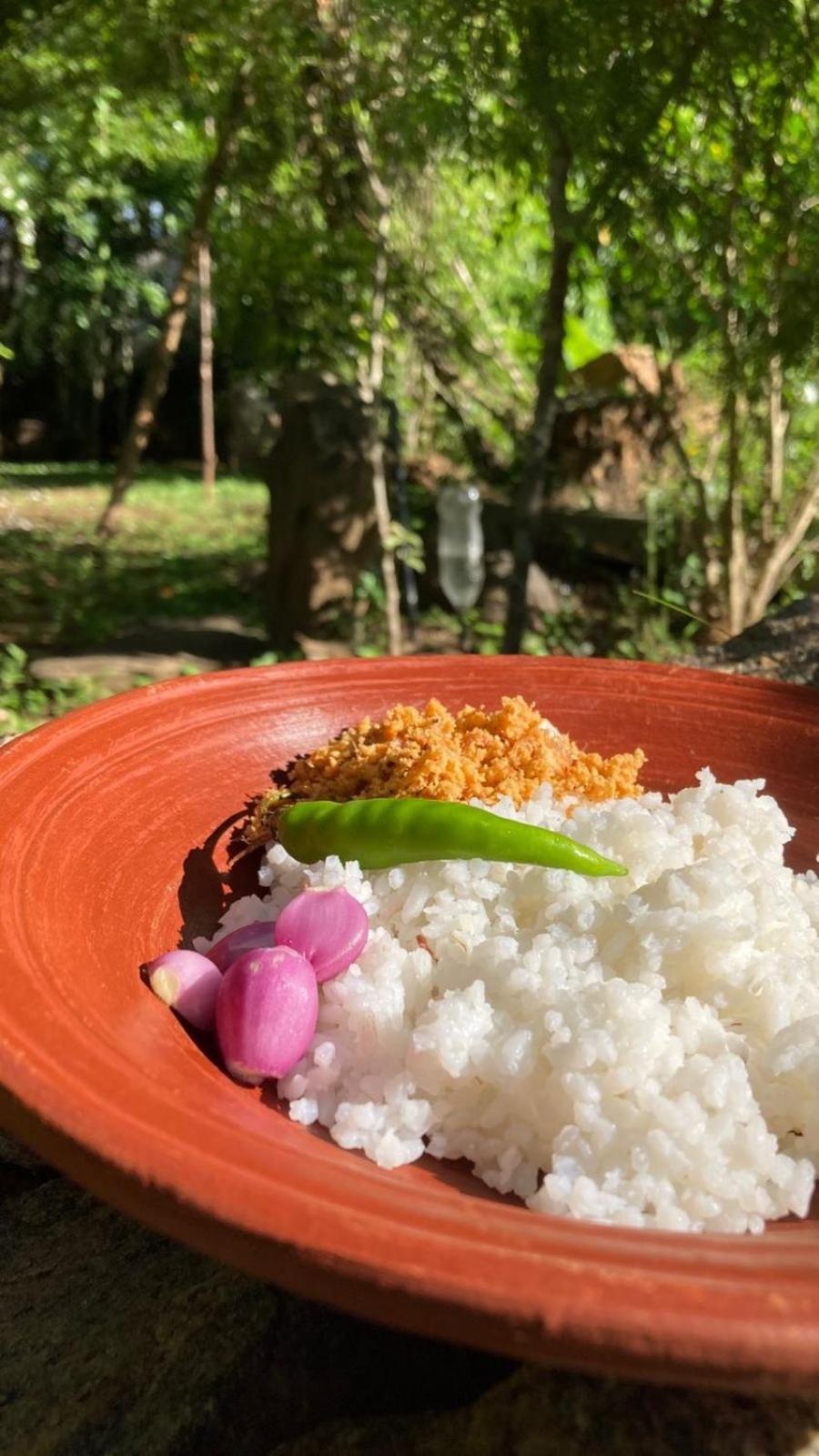 Woodholic Homestay Sigiriya Eksteriør bilde